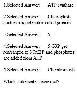 Exam 3